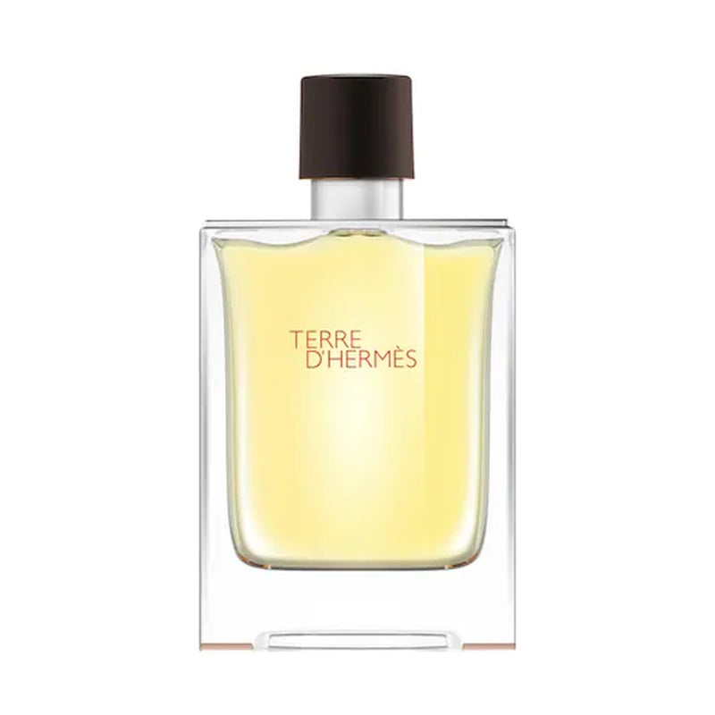 Hermes, Terre Hermes, Apa de Toaleta, 100 ml